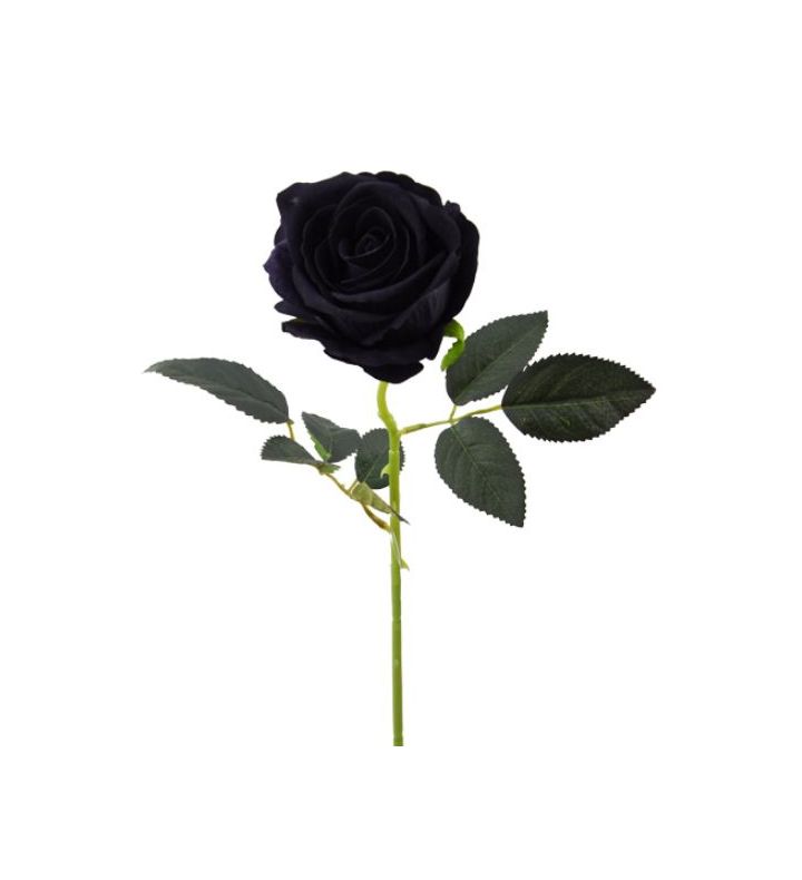 Single Rose Large Velvet Black 