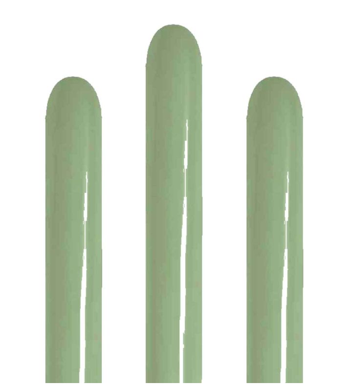 260S Sempertex Eucalyptus 027 Modelling Latex Balloons 50ct