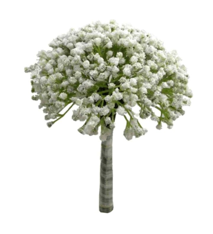 28cm Wrapped Gypsophillia Bundle