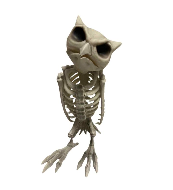 30cm Plastic Owl Skeleton