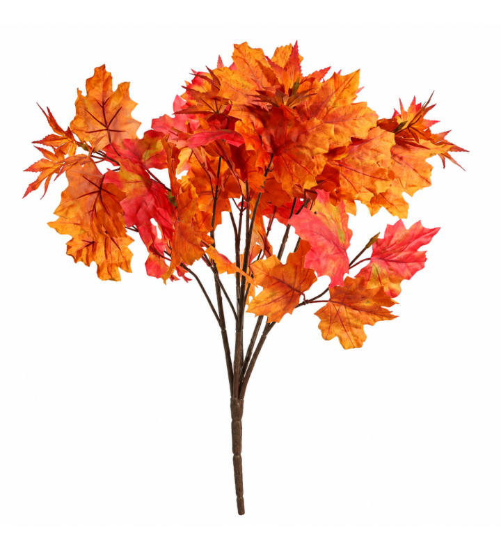 Maple Bush Autumn Red