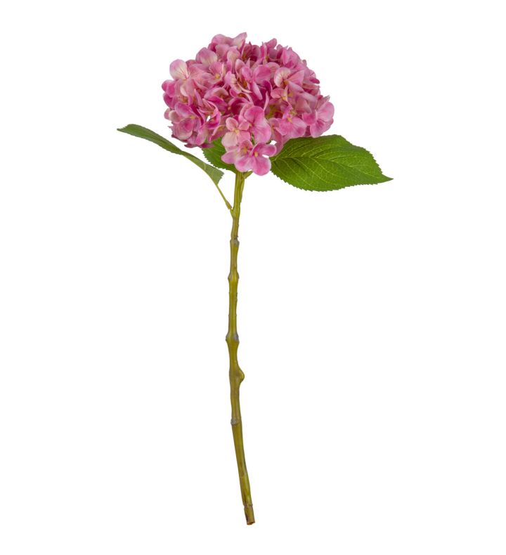 Small Head Hydrangea Pretty Pink