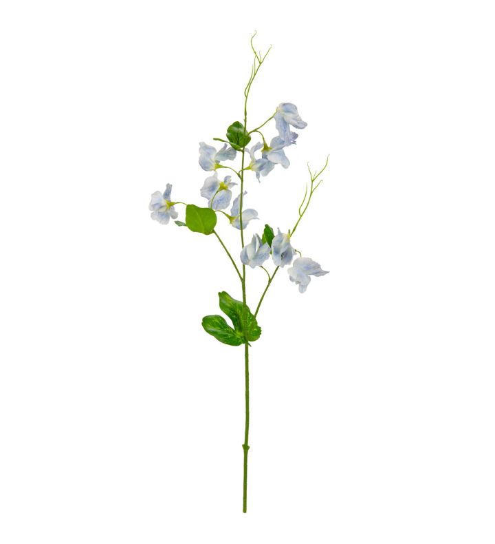 Sweet Pea Spray Light Blue