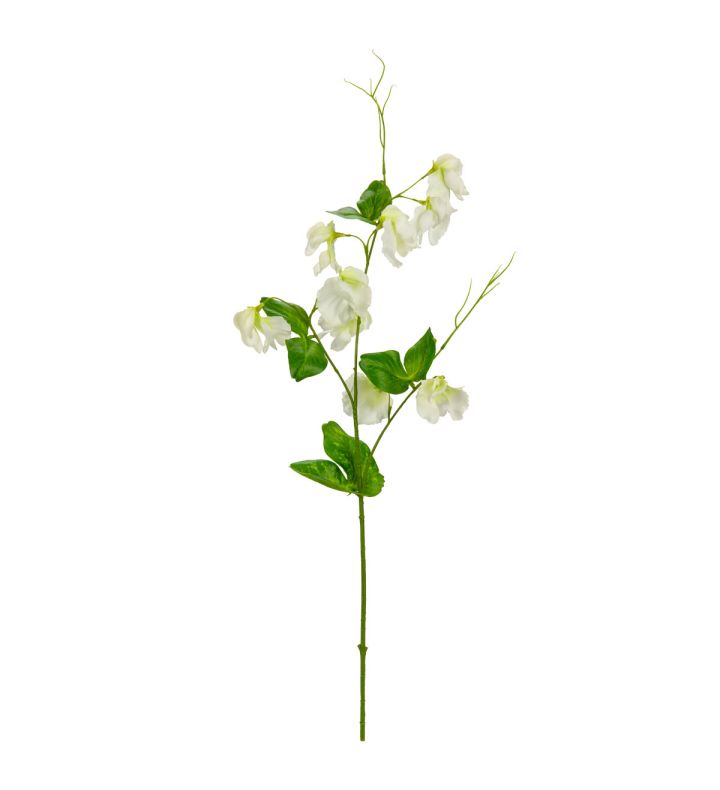 Sweet Pea Spray White
