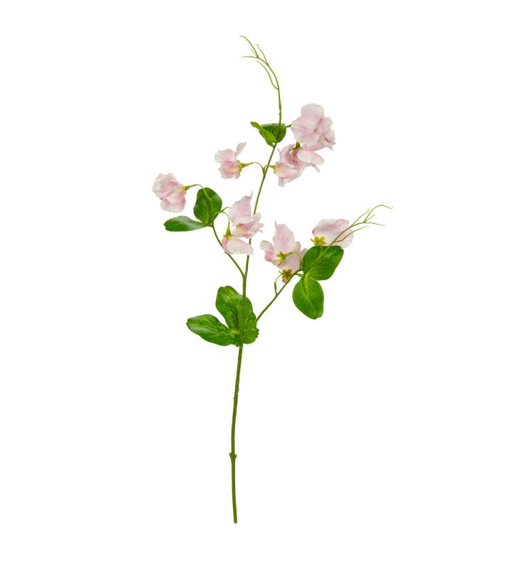 Sweet Pea Spray Light Pink