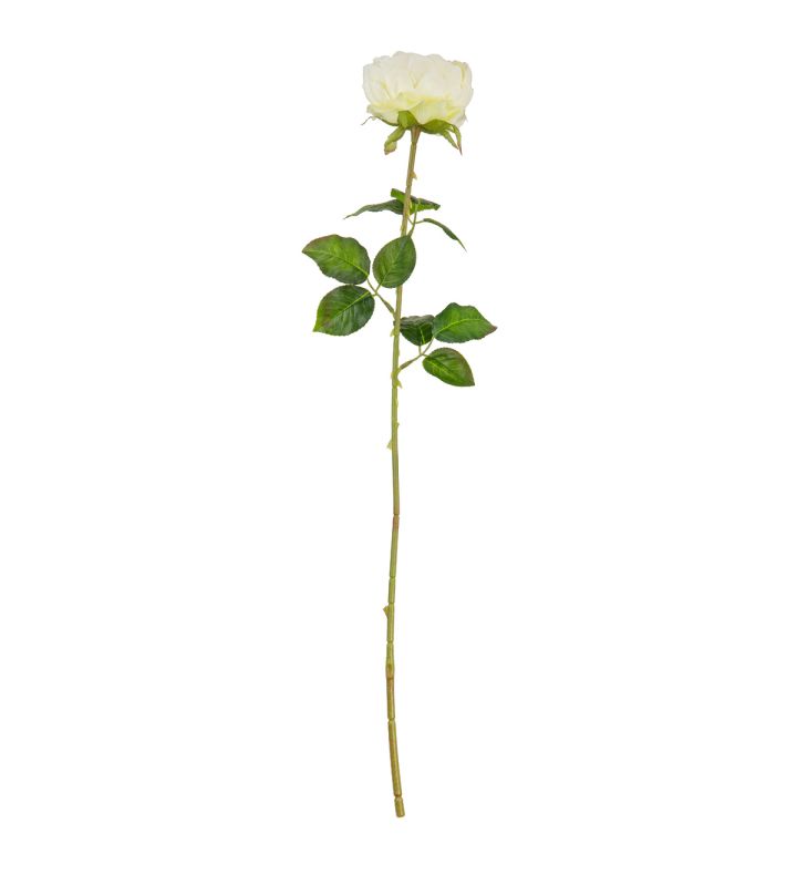 65cm Single Rose White Single Stem Flower