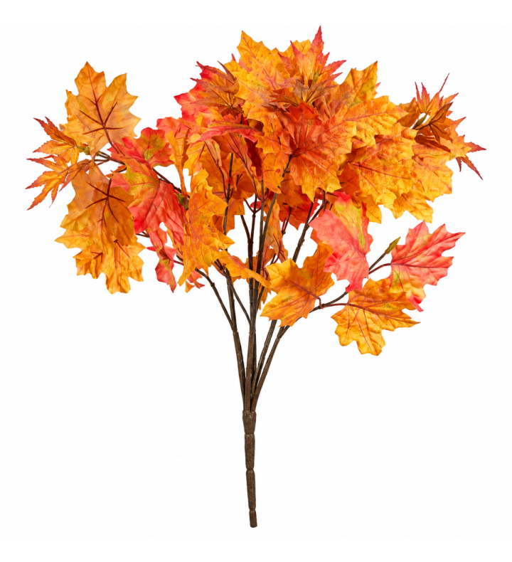 Maple Bush Autumn Orange