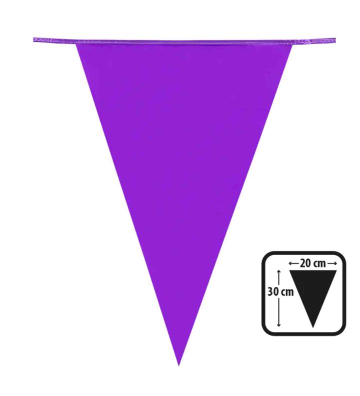 Bunting - Purple 10M