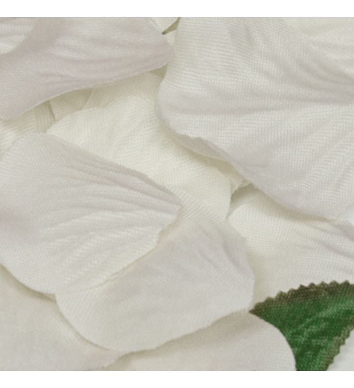 Rose Petals in Acetate Box Ivory No.61 - 164pcs