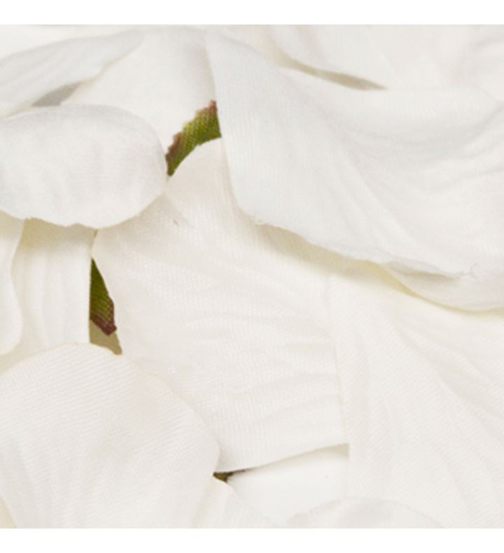 Rose Petals in Acetate Box White No.01 - 164pcs