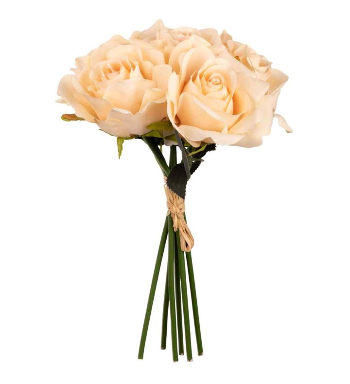 Eugenie Rose Bunch x6 Nude