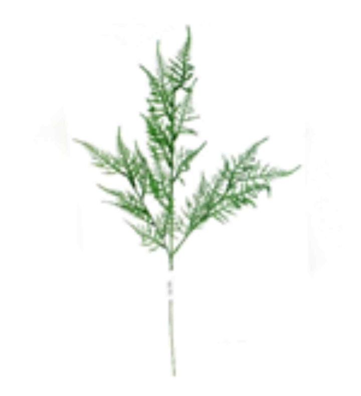 Flocked Asparagus Fern Spray Green