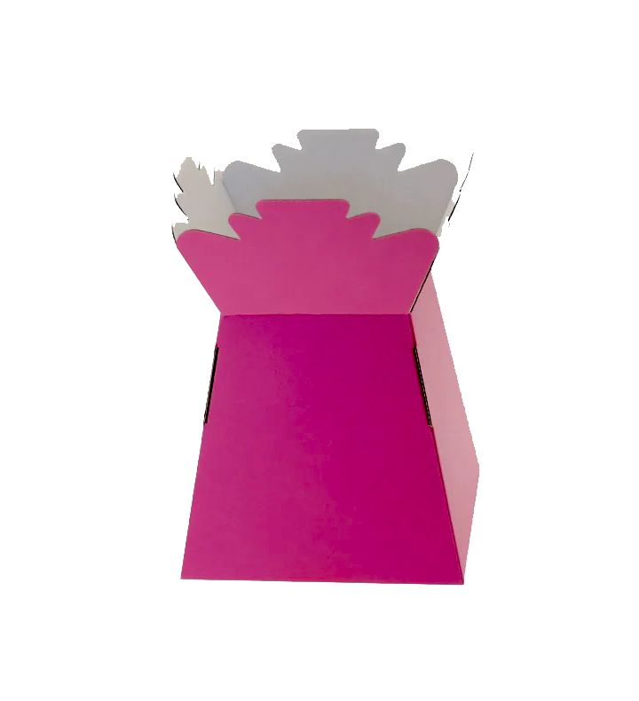 Fuchsia Living Vase x30