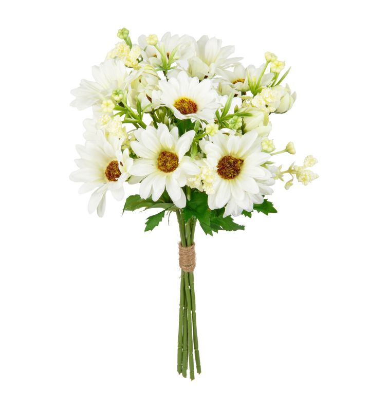 Gerbera Daisy Mixed Bush White