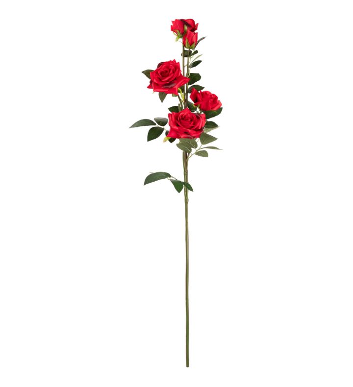 Large Diana Rose Spray Red x5 Heads