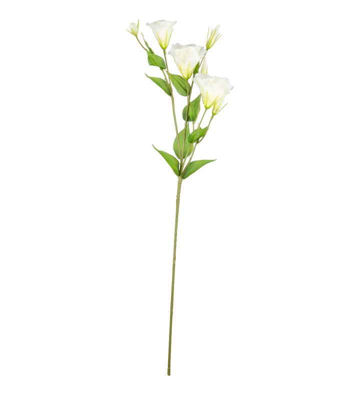Lisianthus Spray x3 White Single Stem