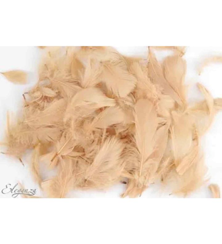 Eleganza Feathers Mixed Sizes Blush - 50g