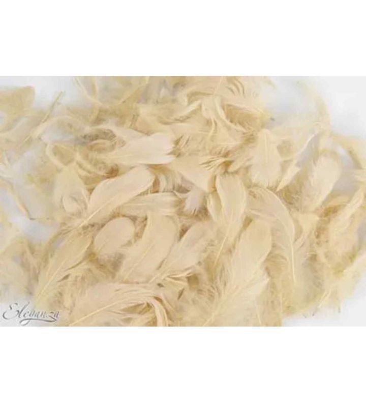 Eleganza Feathers Mixed Sizes Pampas - 50g