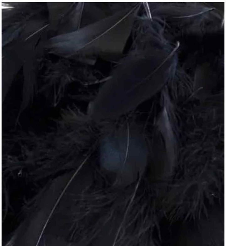 Eleganza Feathers Mixed Sizes Black - 50g