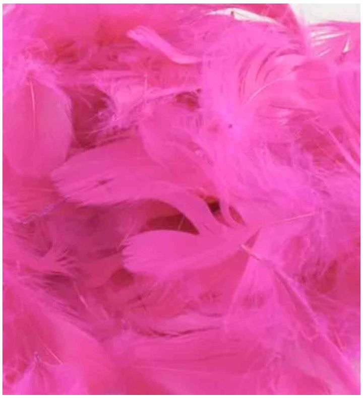 Eleganza Feathers Mixed Sizes Fuchsia - 50g