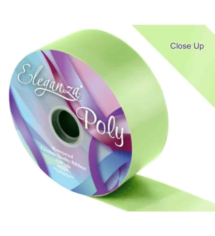 Eleganza Poly Ribbon 50mm x 91m Mint Ribbon