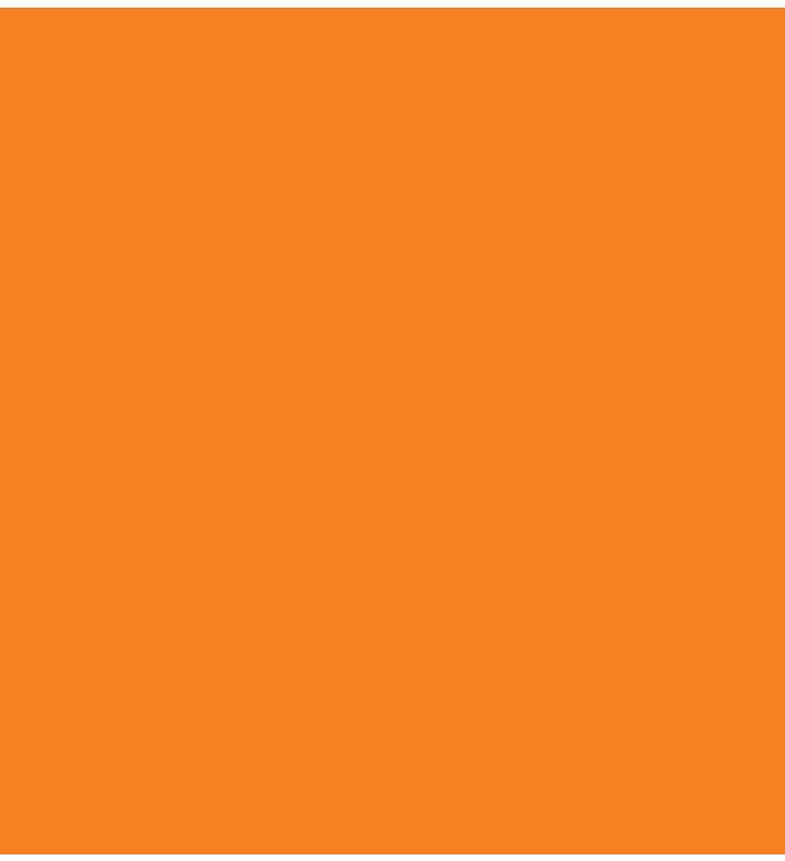 Ritrama Bright Orange Vinyl Roll 305mm x 5m