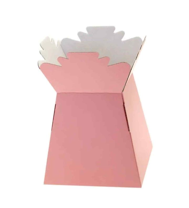 Living Vase Box Pale Pink 30ct