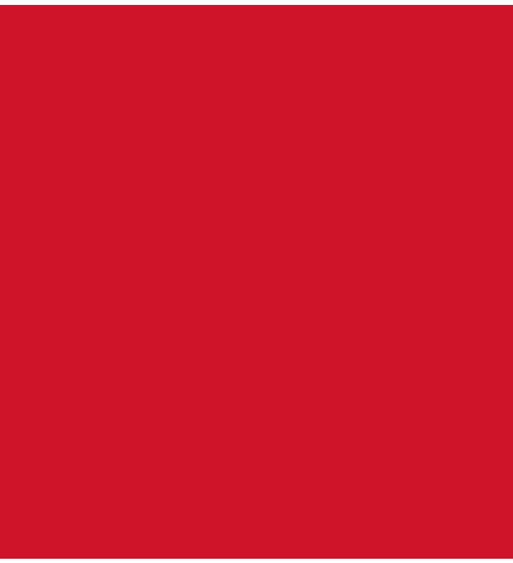 Red Tissue Paper - 50 Sheets