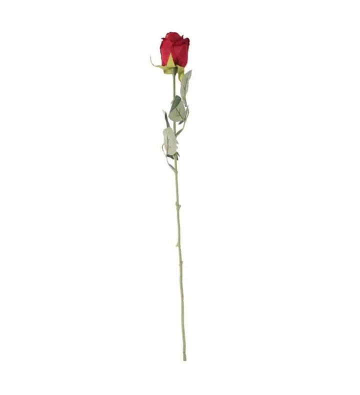 Single Stem Red Rose