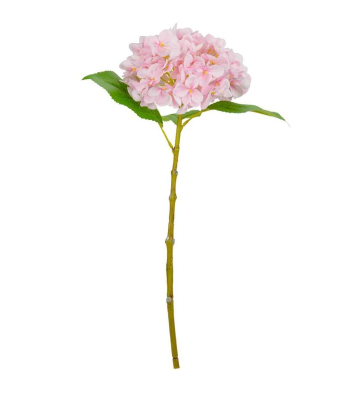 Small Head Hydrangea Light Pink