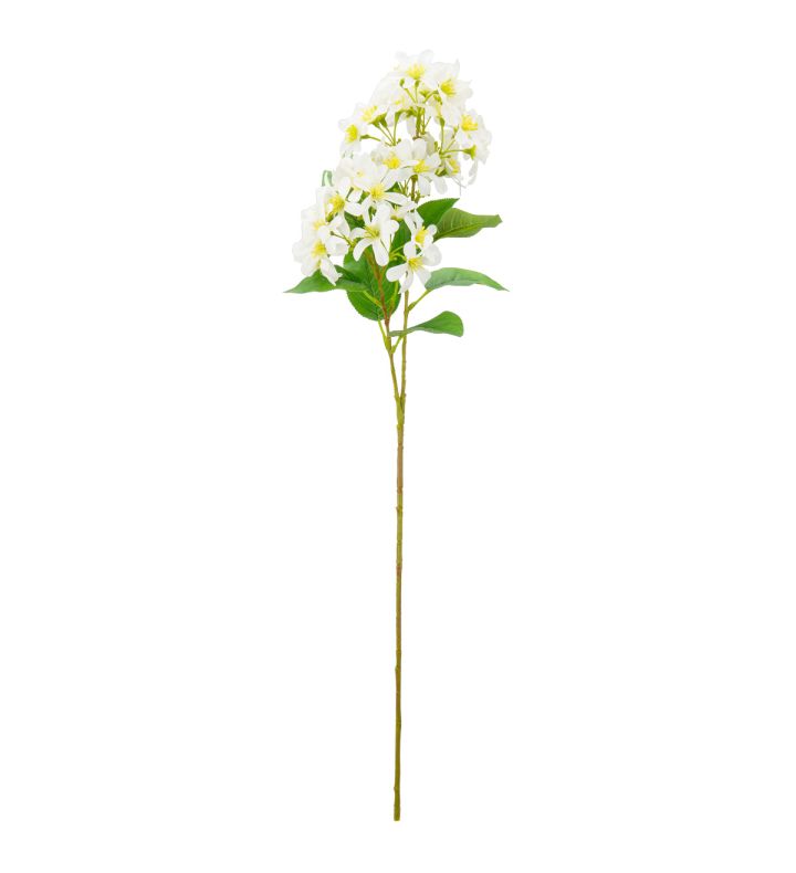 Vernicia Flower Spray x2 Ivory Single Stem