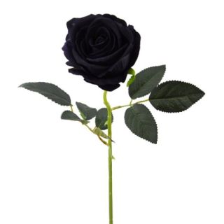 Single Rose Large Velvet Black 