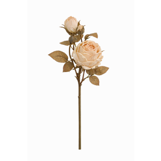 Rose Spray  Almond Cream Dried Spay