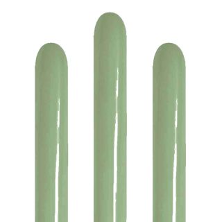 260S Sempertex Eucalyptus 027 Modelling Latex Balloons 50ct