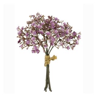 29cm-gyp-bundle-dry-mauve.jpg