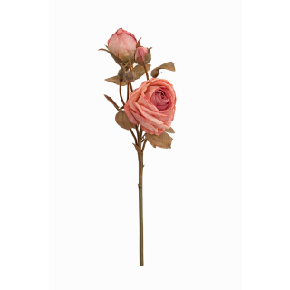 Rose Spray  Rose Quartz Dried Spay