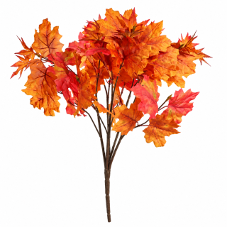Maple Bush Autumn Red