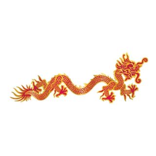 3ft-jointed-dragon