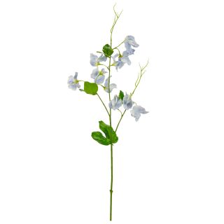 Sweet Pea Spray Light Blue