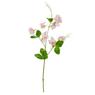 Sweet Pea Spray Light Pink