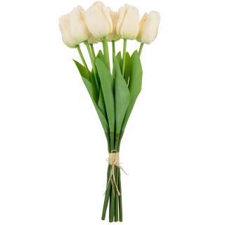Tulip Bunch x 9 Cream