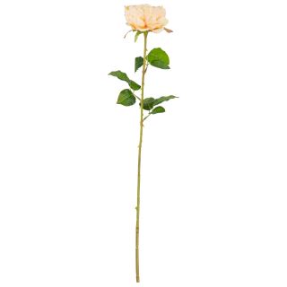 65cm Single Rose Pink Single Stem Flower
