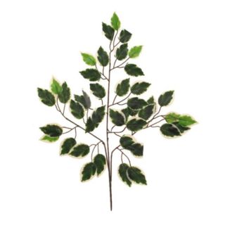 66cm-deluxe-ficus-branch-variegated-up.jpg