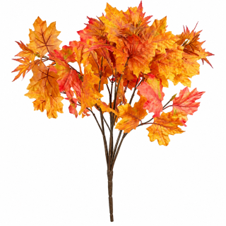 Maple Bush Autumn Orange