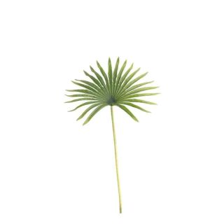 82cm-real-fan-palm-leaf-green.jpg