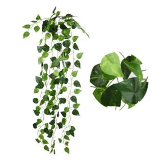 90cm-pothos-trail-green.jpg