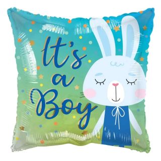 apac-its-a-boy-rabbit.jpg