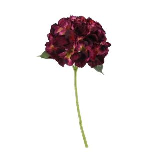 apac-short-stem-hydrangea-drk-purple-1-.jpg
