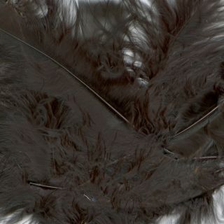 black-feathers.jpg