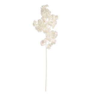 blossom-spray-with-white-stem-white